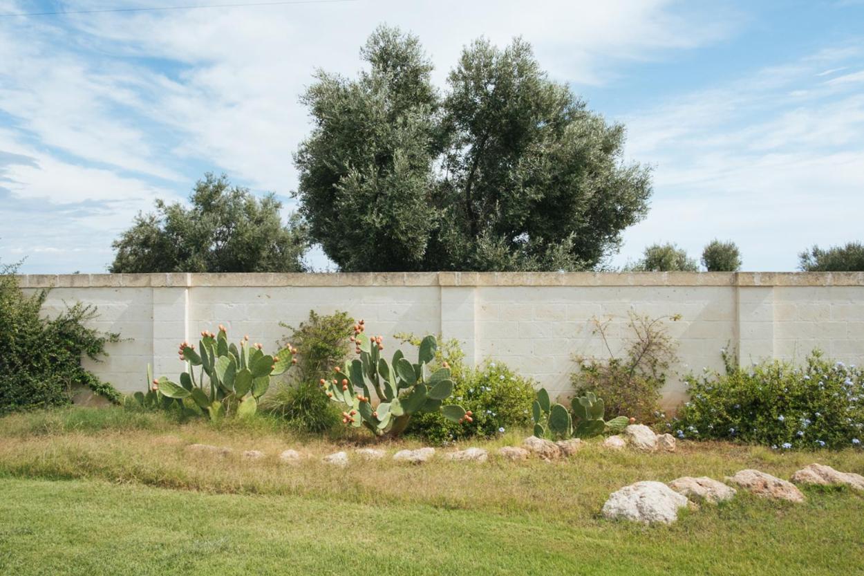 Masseria Torremossa Φαζάνο Εξωτερικό φωτογραφία