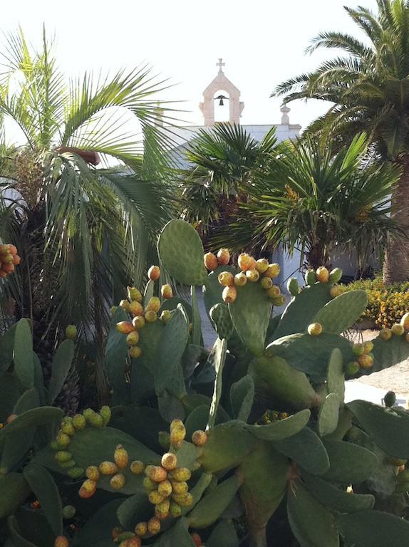 Masseria Torremossa Φαζάνο Εξωτερικό φωτογραφία