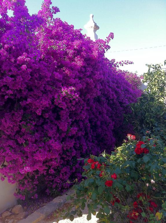 Masseria Torremossa Φαζάνο Εξωτερικό φωτογραφία